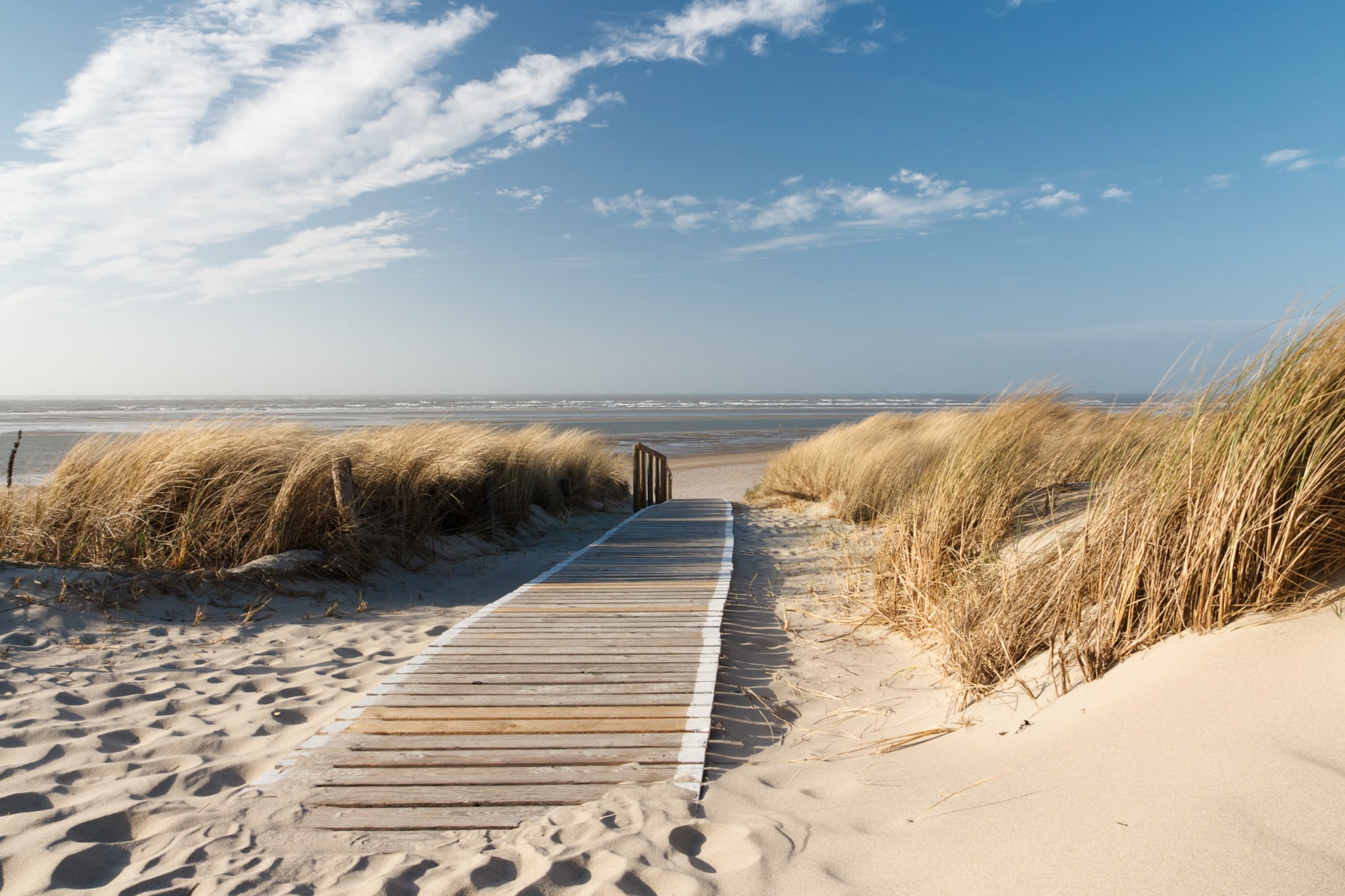 Nordsee Strand